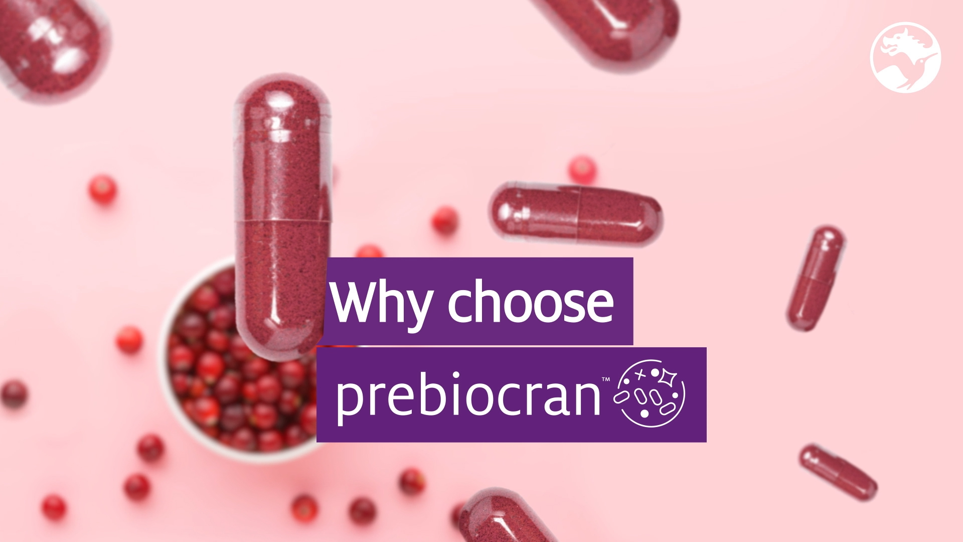 Prebiocran™ for gut health